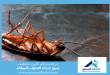 شركة مكافحة الصراصير بالرياض