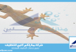 شركة مكافحة الوزغ بجدة